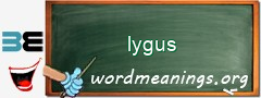 WordMeaning blackboard for lygus